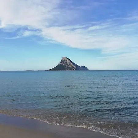 度假居 Vacanze A 蒙特佩特罗素