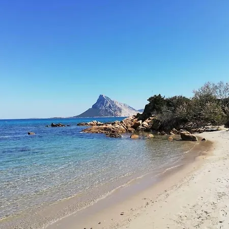 Vacanze A *